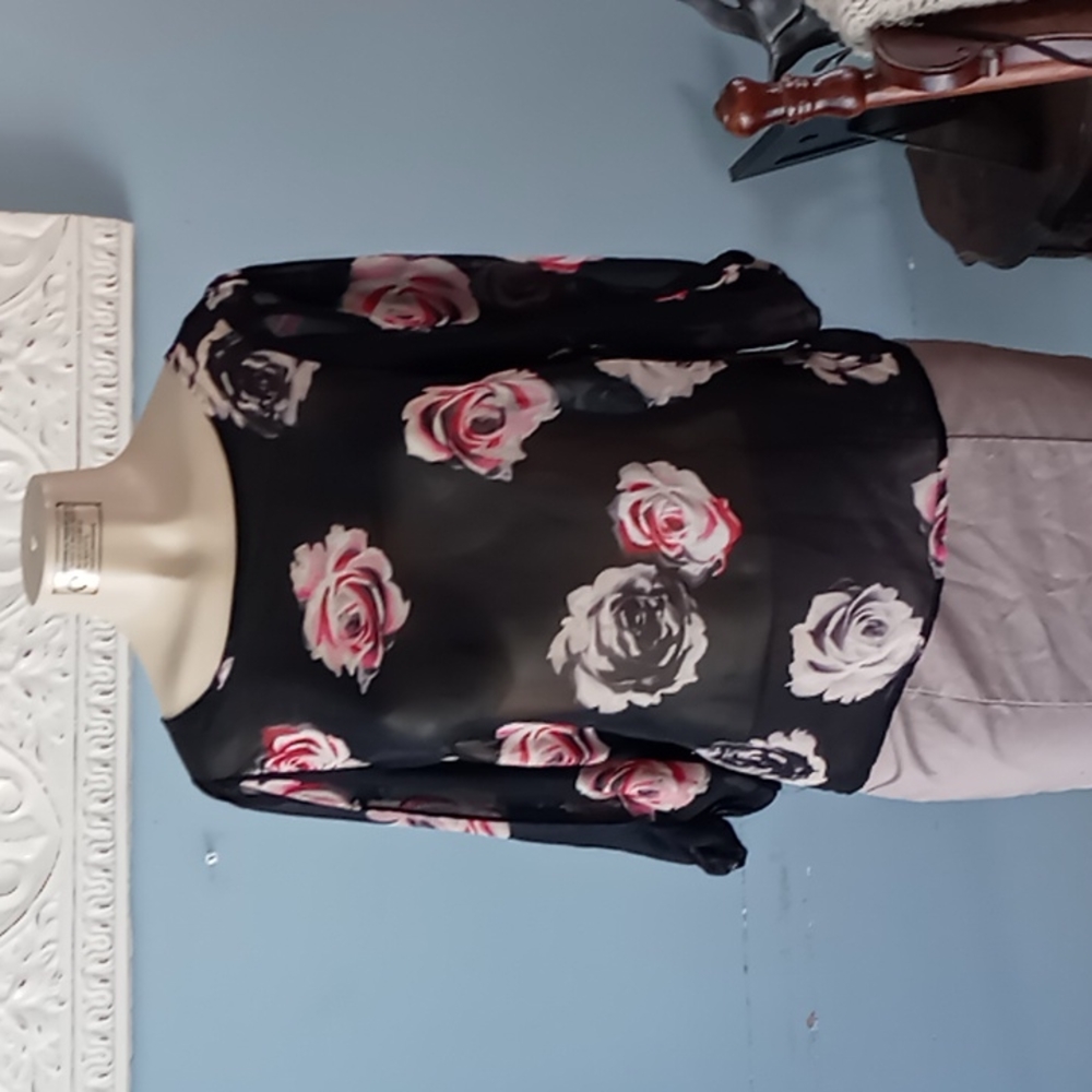 Beautiful Semi Sheer Blouse